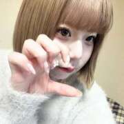 ヒメ日記 2026/03/14 14:12 投稿 もも 宇都宮発～正統派清楚系デリヘル！ CHERIMO（シェリモ）