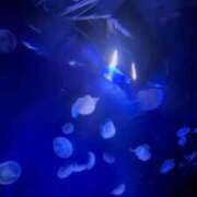 ヒメ日記 2026/03/29 11:14 投稿 モエカ 川崎美女革命