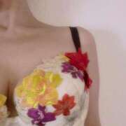 ヒメ日記 2026/03/31 17:42 投稿 蒼(あおい) PLUS梅田店