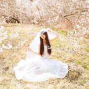 ヒメ日記 2026/03/12 23:06 投稿 サラ ロイヤルヴィトン(宇都宮)