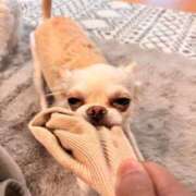 ヒメ日記 2026/03/13 23:36 投稿 サラ ロイヤルヴィトン(宇都宮)