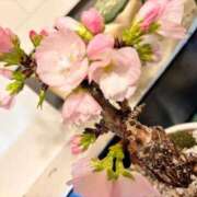 ヒメ日記 2026/03/14 17:49 投稿 サラ ロイヤルヴィトン(宇都宮)