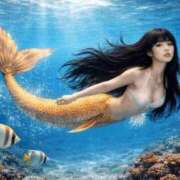 ヒメ日記 2026/03/25 12:59 投稿 サラ ロイヤルヴィトン(宇都宮)