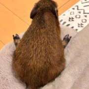 ヒメ日記 2026/03/25 13:04 投稿 サラ ロイヤルヴィトン(宇都宮)