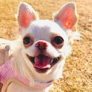 ヒメ日記 2026/03/26 23:29 投稿 サラ ロイヤルヴィトン(宇都宮)