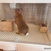 ヒメ日記 2026/03/26 23:49 投稿 サラ ロイヤルヴィトン(宇都宮)