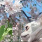 ヒメ日記 2026/03/29 23:29 投稿 サラ ロイヤルヴィトン(宇都宮)