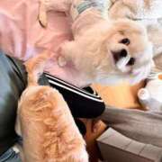 ヒメ日記 2026/04/07 11:39 投稿 サラ ロイヤルヴィトン(宇都宮)