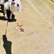 ヒメ日記 2026/04/08 19:33 投稿 サラ ロイヤルヴィトン(宇都宮)