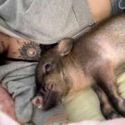 ヒメ日記 2026/04/14 17:29 投稿 サラ ロイヤルヴィトン(宇都宮)