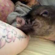 ヒメ日記 2026/04/19 22:28 投稿 サラ ロイヤルヴィトン(宇都宮)