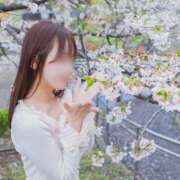 ヒメ日記 2026/04/03 10:46 投稿 松宮いつき MIRAI TOKYO 六本木店