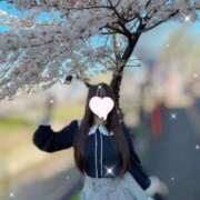 ヒメ日記 2026/04/12 10:48 投稿 もち（極上SPコース対応） EIGHT（エイト）～8つのお約束と無限の可能性～