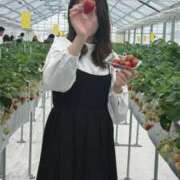 ヒメ日記 2026/03/25 11:52 投稿 れみな スピードエコ難波店