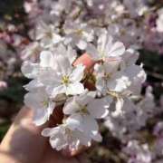 ヒメ日記 2026/04/03 19:32 投稿 れみな スピードエコ難波店