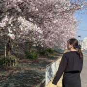 ヒメ日記 2026/04/04 09:52 投稿 れみな スピードエコ難波店