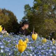 ヒメ日記 2026/04/15 20:32 投稿 れみな スピードエコ難波店