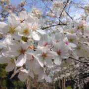 ヒメ日記 2026/03/12 13:56 投稿 たかこ 太田人妻城