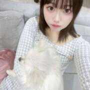 ヒメ日記 2026/03/17 11:28 投稿 ゆいの IRIS(岐阜)