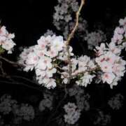 ヒメ日記 2026/03/19 17:42 投稿 水樹　ほのか OLセレクション宇都宮店