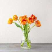 一華(いちか) 【お礼写メ日記】 グランドオペラ福岡