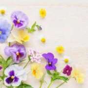 ヒメ日記 2026/04/15 17:51 投稿 新人・叶羽(とわ) グランドオペラ福岡