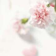 由奈(ゆな) 今週の出勤日🌸 グランドオペラ福岡