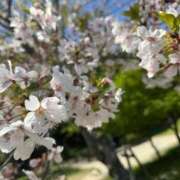 由奈(ゆな) 葉桜の頃に🌸 グランドオペラ福岡