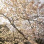 ヒメ日記 2026/04/03 21:21 投稿 ミーナ かわいい素人女子TOP100(地方出身者編)