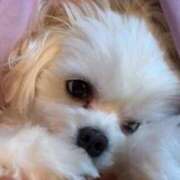 ヒメ日記 2026/04/14 00:41 投稿 ミーナ かわいい素人女子TOP100(地方出身者編)