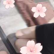 ヒメ日記 2026/04/12 12:37 投稿 白雪ののか ワイフコレクション