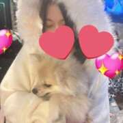 ヒメ日記 2026/04/05 06:51 投稿 水島える ラブアイドル