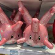 安室 みく ポケモン💞 ハレ系 福岡DEまっとる。＆ひよこ治療院