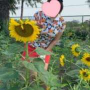 ヒメ日記 2026/03/15 12:01 投稿 みはる 西川口こんにちわいふ（シンデレラグループ）