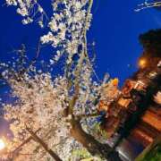 新垣(あらがき)奥様 お花見♡ 金沢の20代30代40代50代が集う人妻倶楽部