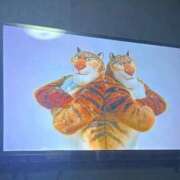 ヒメ日記 2026/03/20 14:48 投稿 そらね Evolution 2nd