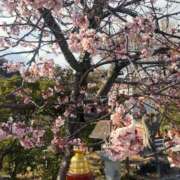 ヒメ日記 2026/04/28 21:57 投稿 ねいろ 白いぽっちゃりさん錦糸町店