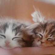 桜子（さくらこ） 出勤しました✨ 熟女の風俗最終章 大宮店