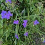 ヒメ日記 2026/05/20 10:05 投稿 桜子（さくらこ） 熟女の風俗最終章 大宮店