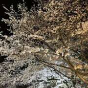 ヒメ日記 2026/03/31 20:25 投稿 かおる バイオレンス