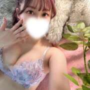 ヒメ日記 2026/09/28 08:47 投稿 るい【プレミアム】 大人のゴシャール
