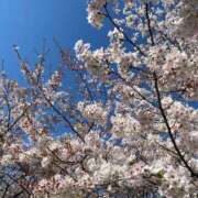 ヒメ日記 2026/04/09 16:36 投稿 憩(いこい) Good days GOOD-グッド-