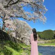 ヒメ日記 2026/04/12 16:17 投稿 憩(いこい) Good days GOOD-グッド-