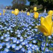 ヒメ日記 2026/04/14 16:51 投稿 憩(いこい) Good days GOOD-グッド-