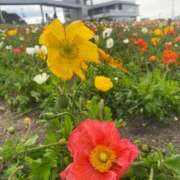 ヒメ日記 2026/05/06 13:34 投稿 憩(いこい) Good days GOOD-グッド-