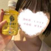 ヒメ日記 2026/03/12 19:42 投稿 はるか 治療院.LOVE小山店