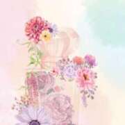 ヒメ日記 2026/03/19 11:53 投稿 もこ 福盛