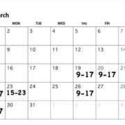 ヒメ日記 2026/03/16 00:53 投稿 Yuzu THE PREMIUM （プレミアム）