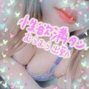 ヒメ日記 2026/03/24 11:40 投稿 なずな Ｓ＆Ｍ極嬢