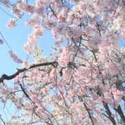 ヒメ日記 2026/04/07 10:06 投稿 愛川こころ ミセスの癒しエステ